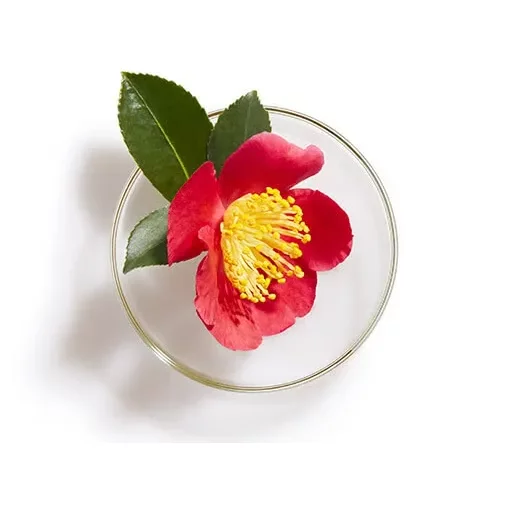 TSUBAKI Кондиціонер для волосся, відновлення та зволоження Shiseido Premium Moist & Repair Camellia Hair Conditioner NEW 2025 - JapanTrading