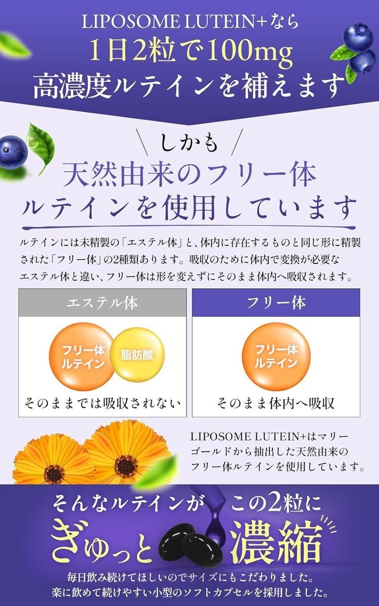 WELLMOTO Липосомальная лютеиновая добавка для зрения LIPOSOME LUTEIN+ 60 шт на 30 дней - JapanTrading