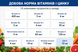 AMBiQUE Мультивитаминный комплекс для мужчин: сила и выносливость Men's Vitamin (120 шт на 30 дней) 6SVO4B фото 3 JapanTrading