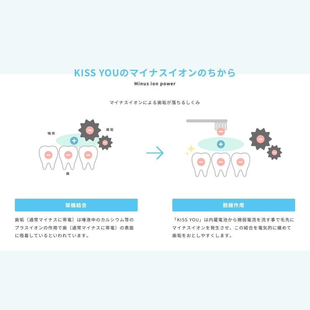 Hukuba Dental Сменная насадка для ионной зубной щетки KISS YOU (2 шт) - JapanTrading