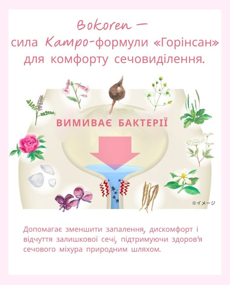 Kobayashi Японський рослинний комплекс для підтримки сечовидільної системи при циститі, запаленні та больових відчуттях Bokoren Age Plus - JapanTrading