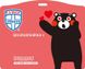 Shinko ECOM Японський блокатор вірусів та алергії EA Mask Kumamon (Червоний бейдж з шнурком) на 30 днів 129512 фото 1 JapanTrading