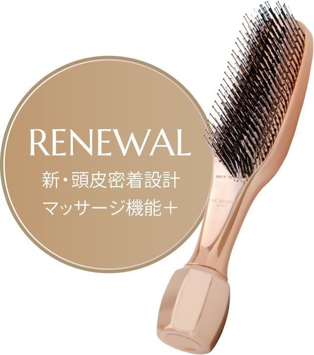 DR SCALP Багатофункціональний гребінець для миття, брашингу та масажу голови WiLLA THE BRASHU REVO - JapanTrading