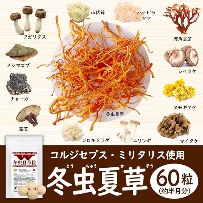 Wakasugi Кордицепс 60 таб на 15 днів - JapanTrading