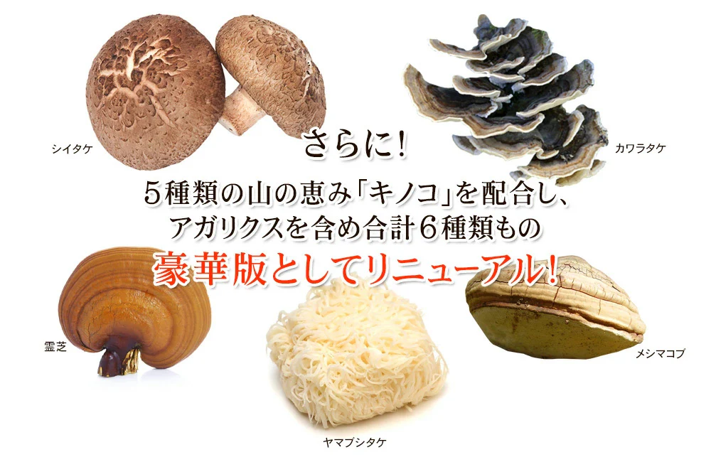 Seedcoms Сила грибов Агарик и еще 5 грибов для иммунитета Agaricus DX 90 шт на 90 дней - JapanTrading
