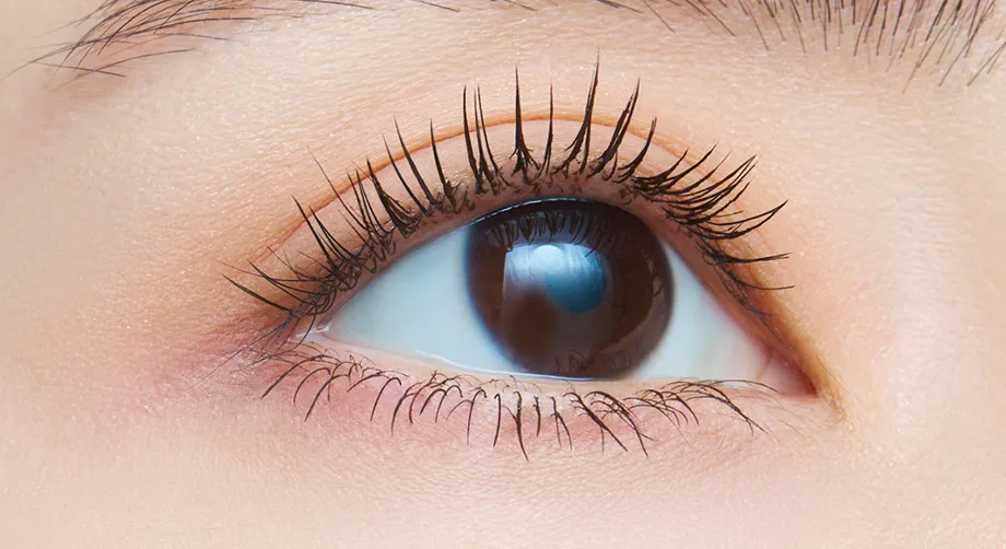 Dejavu Тушь для объема ресниц Fiberwig Lash Knockout Mascara - JapanTrading