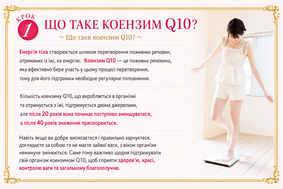 Seedcoms Комплекс коензим Q10 Альфа-ліпоєва кислота L-карнітин + фолієва кислота, антиоксидантний захист та енергія 180 шт на 90 днів - JapanTrading