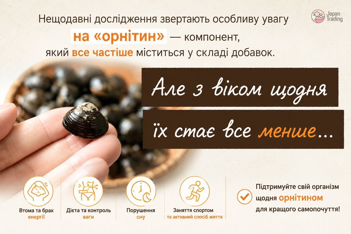 Seedcoms Комплекс для детоксикации и поддержки функций печени с L-орнитином и куркумой 90 шт на 90 дней - JapanTrading