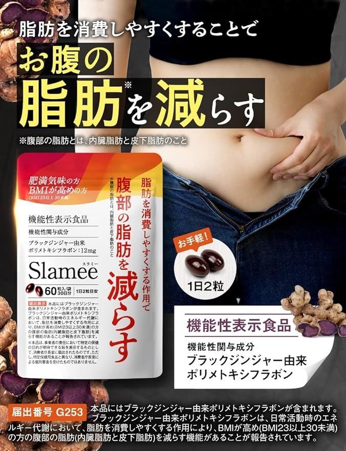 Aequalis_Slamee