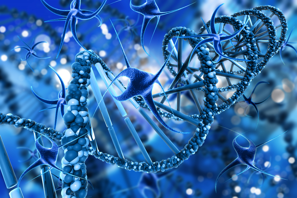 Stem cells